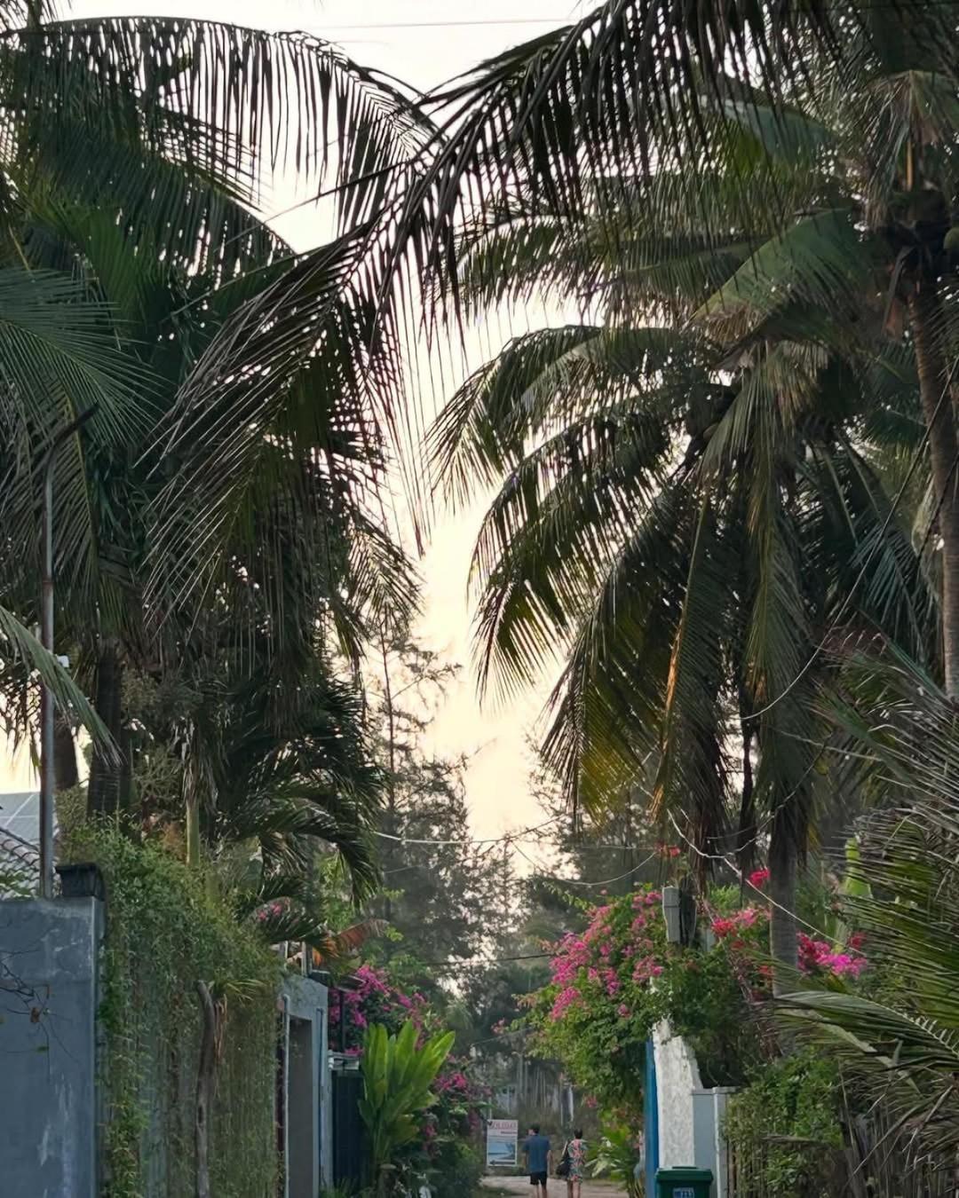 Seaside An Bang Homestay Hoi An Dış mekan fotoğraf