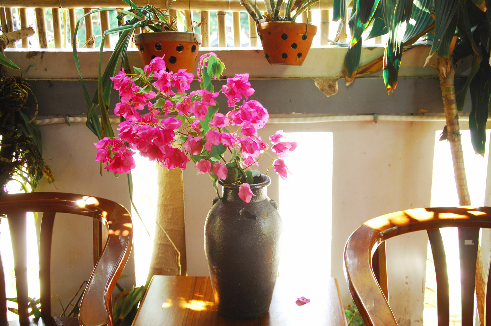 Seaside An Bang Homestay Hoi An Dış mekan fotoğraf